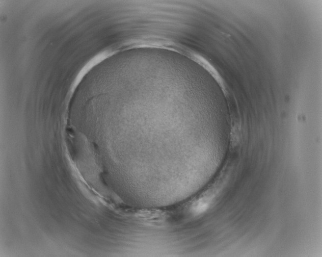 X0000083651146200702261109