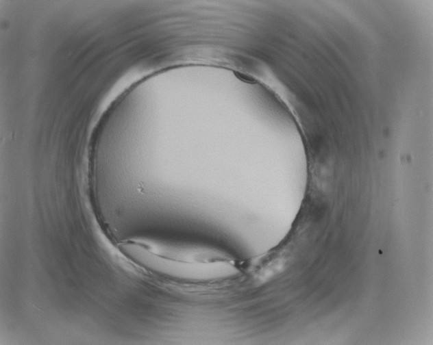 X0000083651147200702261109