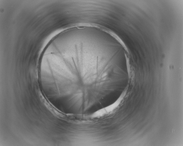 X0000083651148200702261109