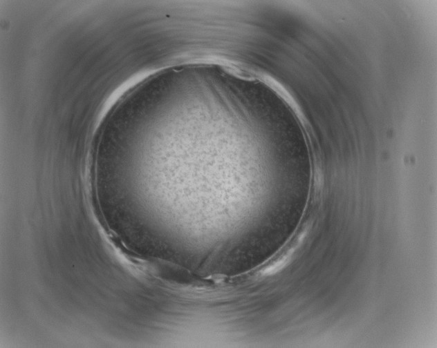 X0000083651149200702261109