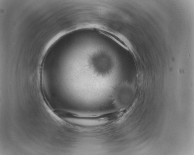 X0000083651151200702261109