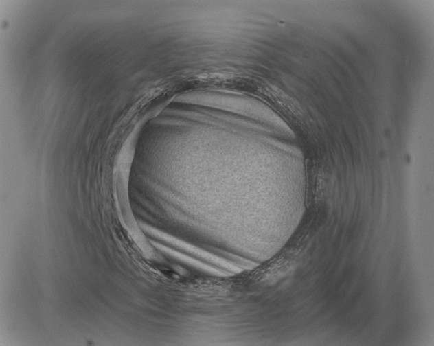 X0000083651153200702261109