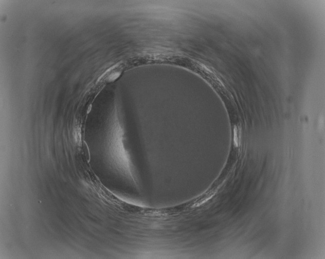 X0000083651155200702261109