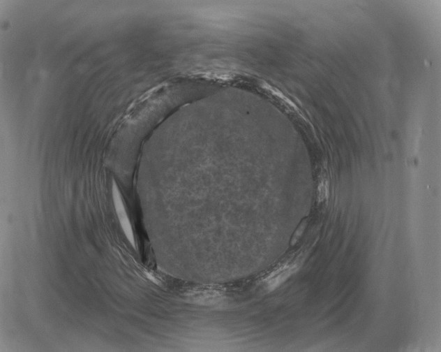 X0000083651156200702261109