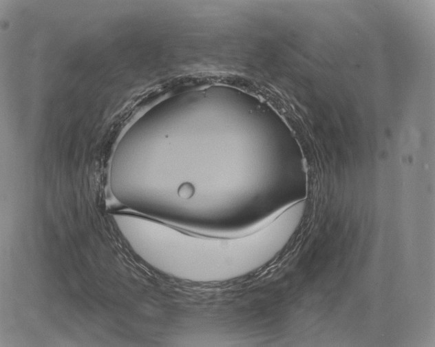 X0000083651157200702261109