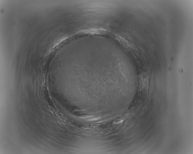 X0000083651158200702261109