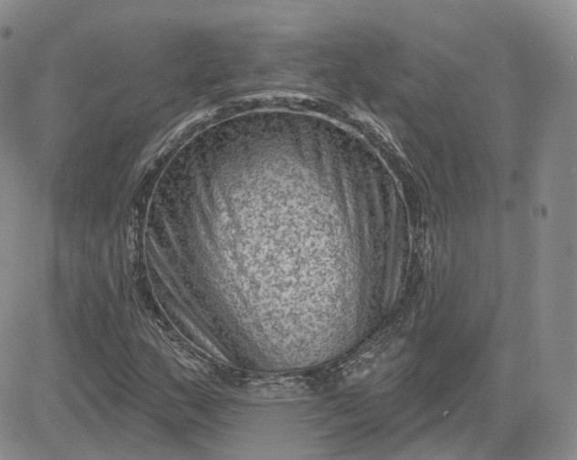 X0000083651159200702261109