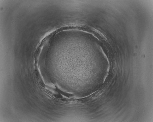 X0000083651160200702261109