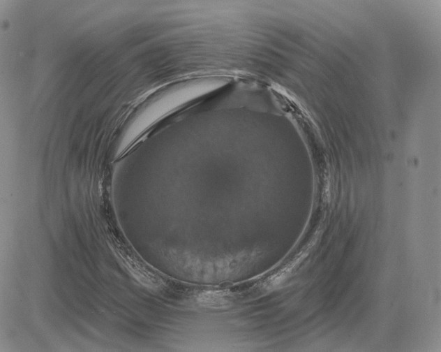 X0000083651161200702261109