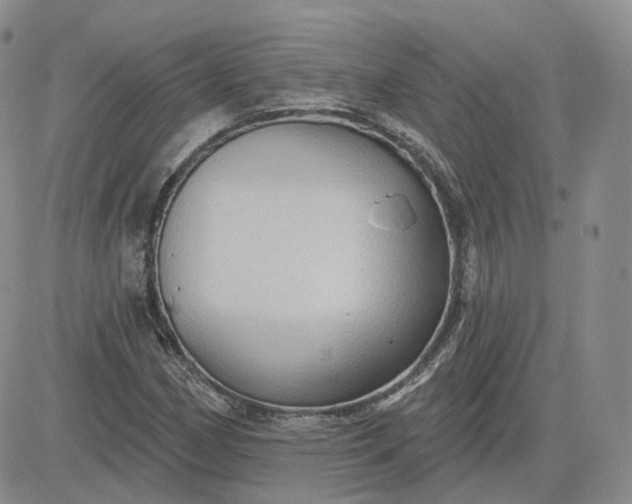 X0000083651162200702261109