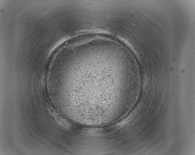 X0000083651163200702261109