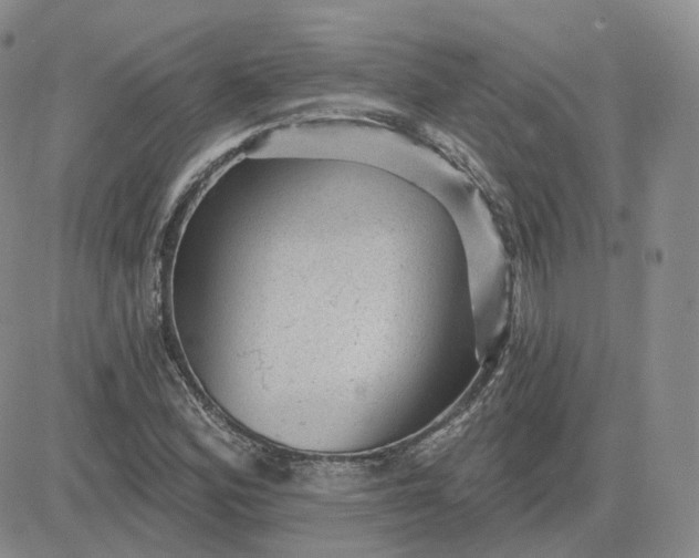 X0000083651164200702261109