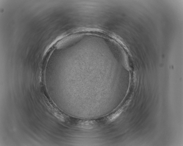 X0000083651165200702261109