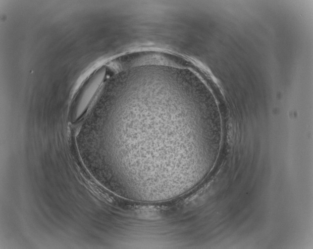 X0000083651167200702261108