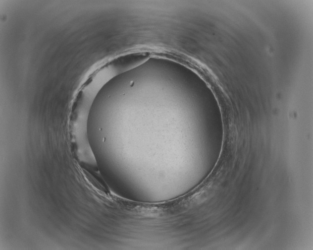 X0000083651168200702261108