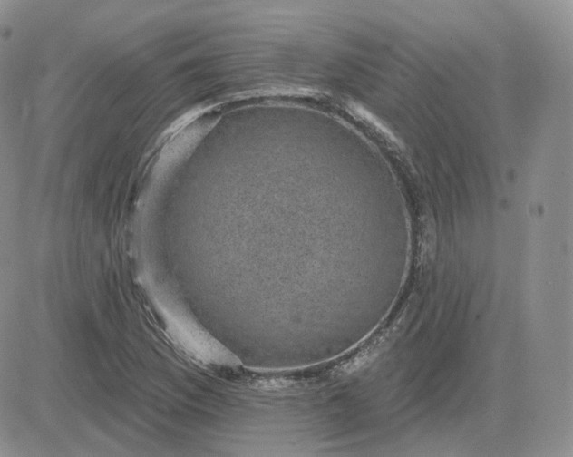 X0000083651169200702261108