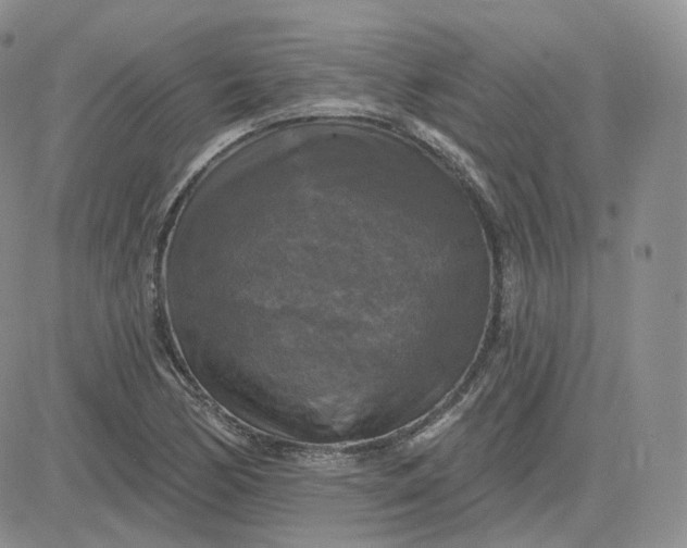 X0000083651170200702261108