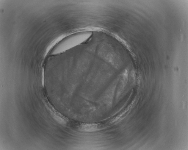 X0000083651171200702261108