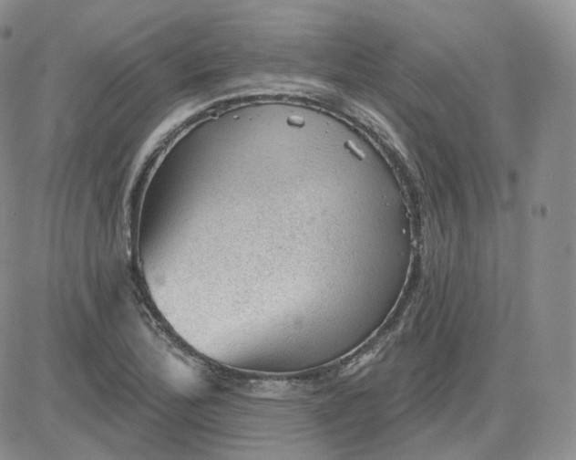 X0000083651172200702261108