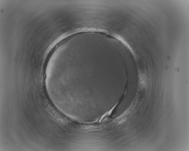 X0000083651173200702261108