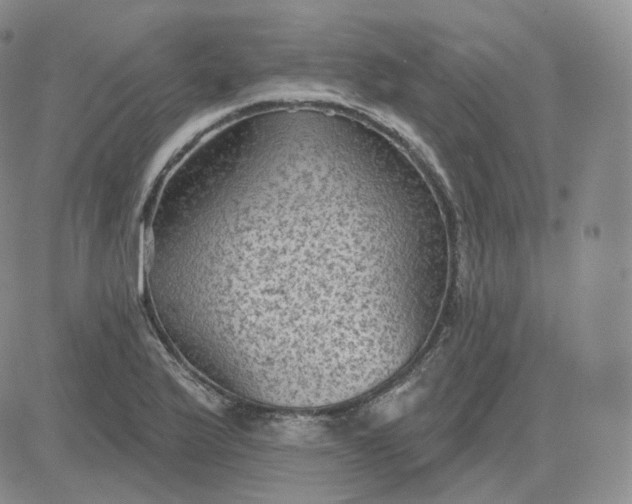 X0000083651175200702261108