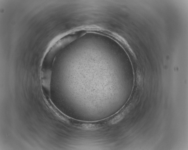 X0000083651176200702261108