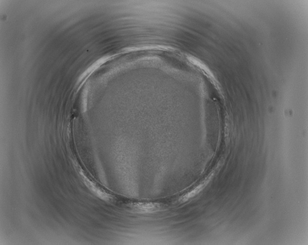 X0000083651177200702261108