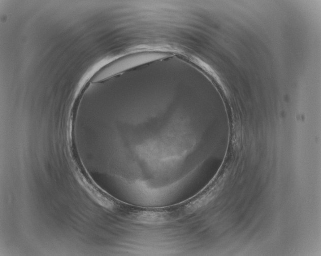 X0000083651179200702261108