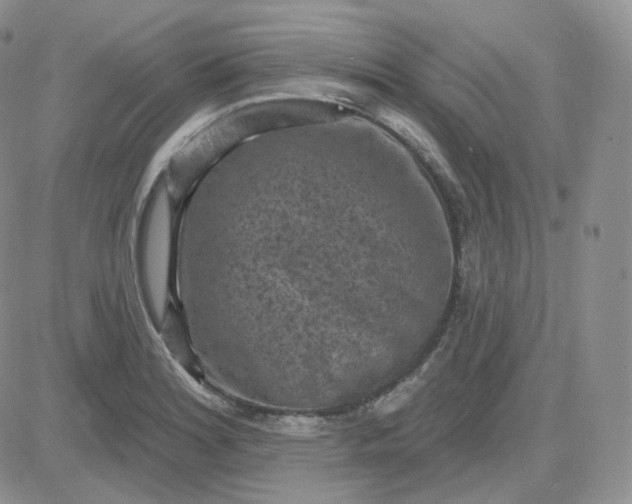 X0000083651180200702261108