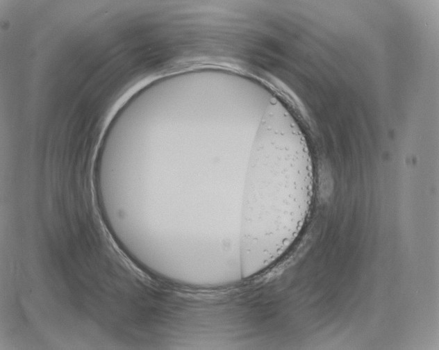 X0000083651182200702261108