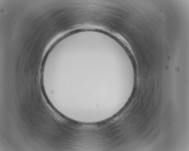 X0000083651183200702261108