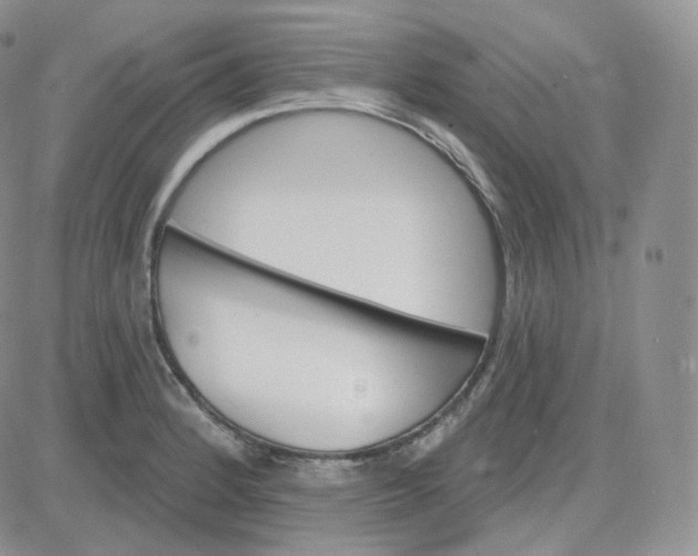 X0000083651184200702261108