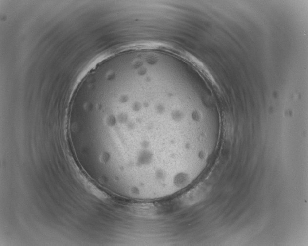 X0000083651186200702261108