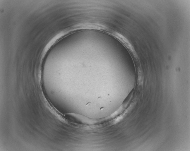 X0000083651188200702261108