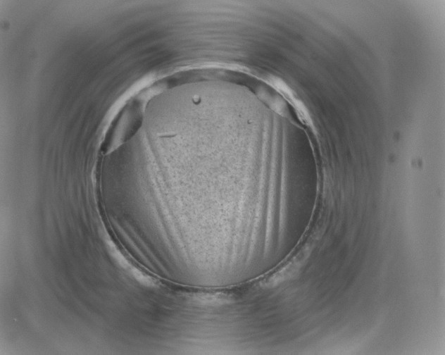 X0000083651189200702261108