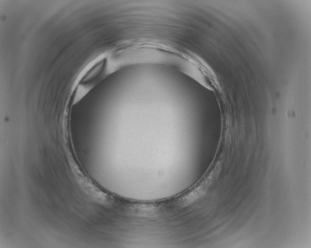 X0000083651190200702261108