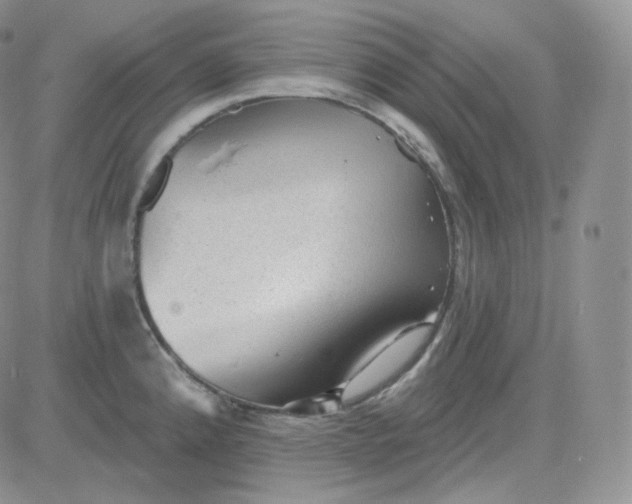 X0000083651192200702261108