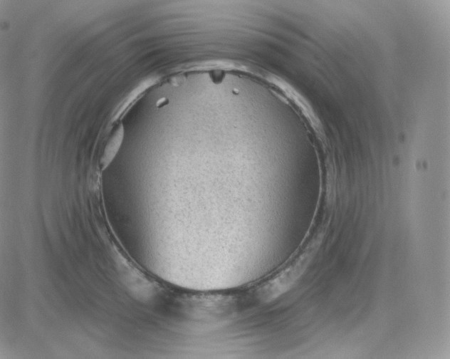 X0000083651193200702261108