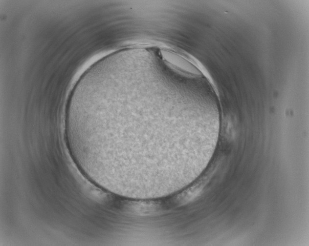 X0000083651195200702261108