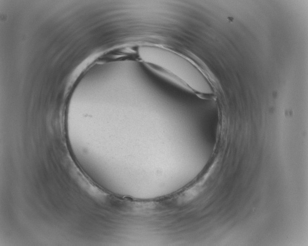 X0000083651196200702261108