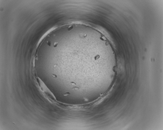 X0000083651198200702261108