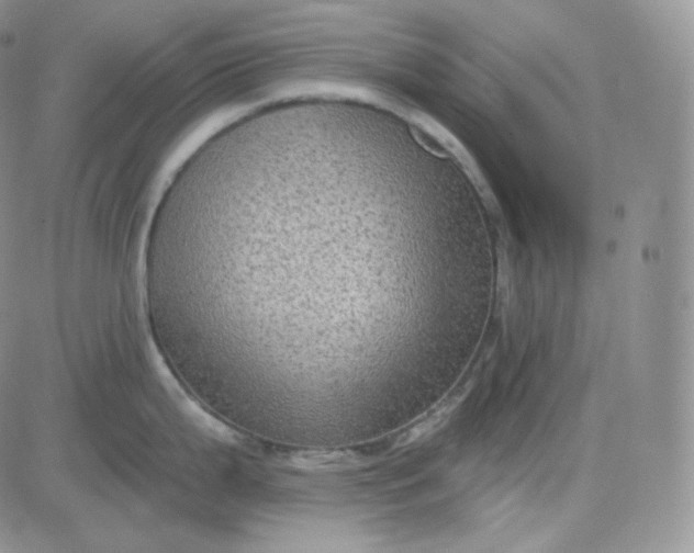 X0000083651199200702261108