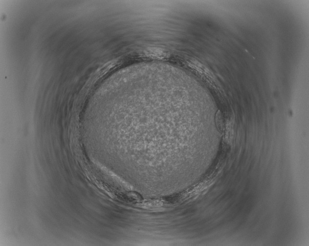 X0000083651201200702261107