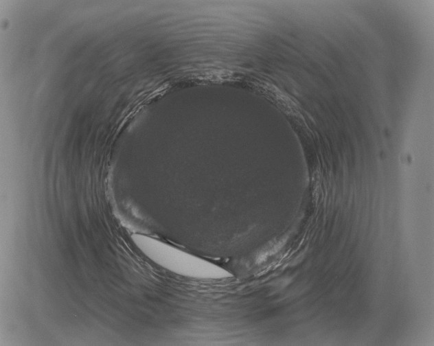 X0000083651202200702261107