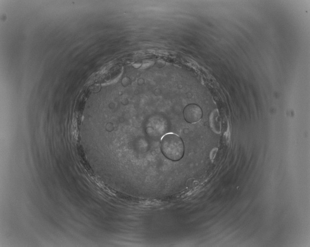 X0000083651203200702261107