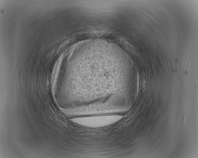 X0000083651204200702261107