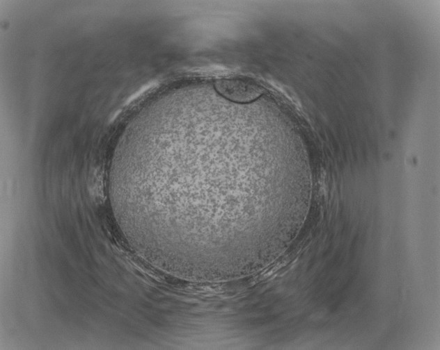 X0000083651205200702261107