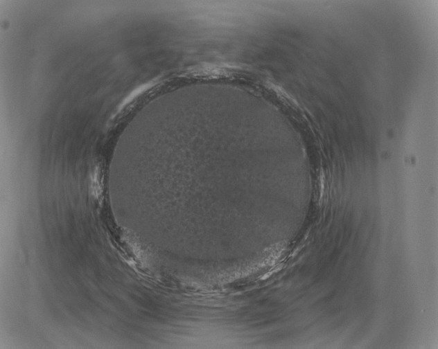 X0000083651206200702261107