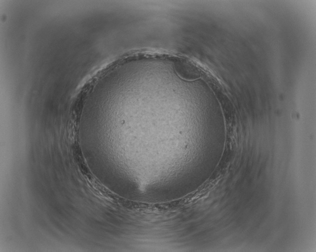 X0000083651207200702261107