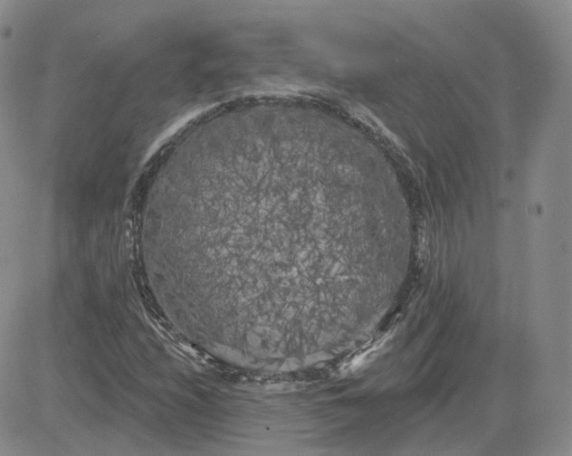 X0000083651208200702261107